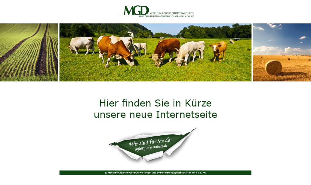 Mecklenburgische Güterverwaltungs- und Dienstleistungsgesellschaft mbH & Co. KG